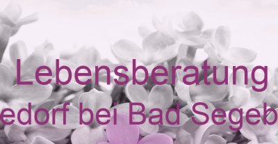 Lebensberatung Seedorf bei Bad Segeberg | Top-Experten für Kartenlegen, Wahrsagen, Hellsehen, Zukunftsdeutung. Lebensberatung Seedorf bei Bad Segeberg | Top-Experten für Kartenlegen, Wahrsagen, Hellsehen, Zukunftsdeutung.